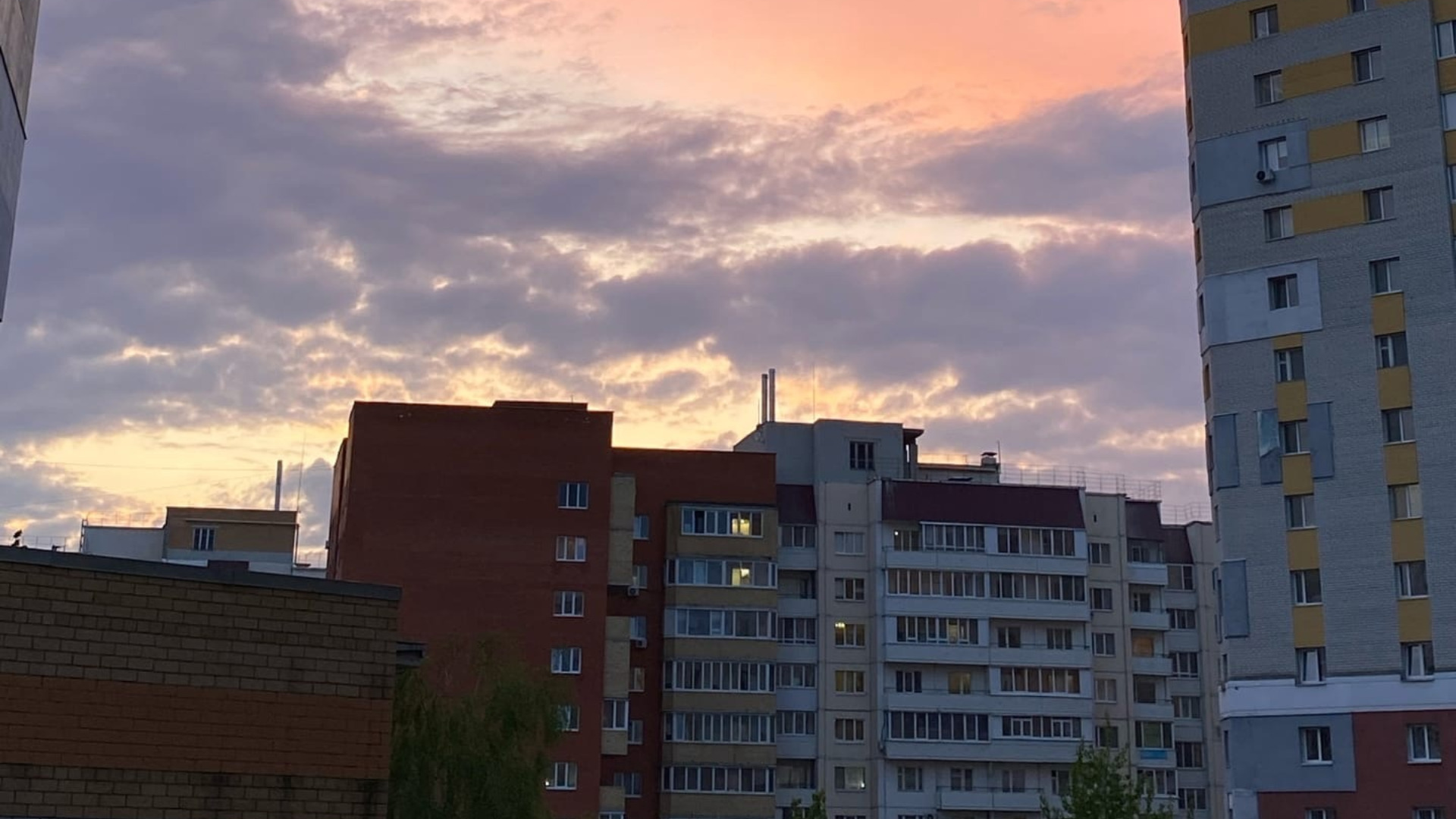 Июнь на Брянщине завершится жарой и грозами