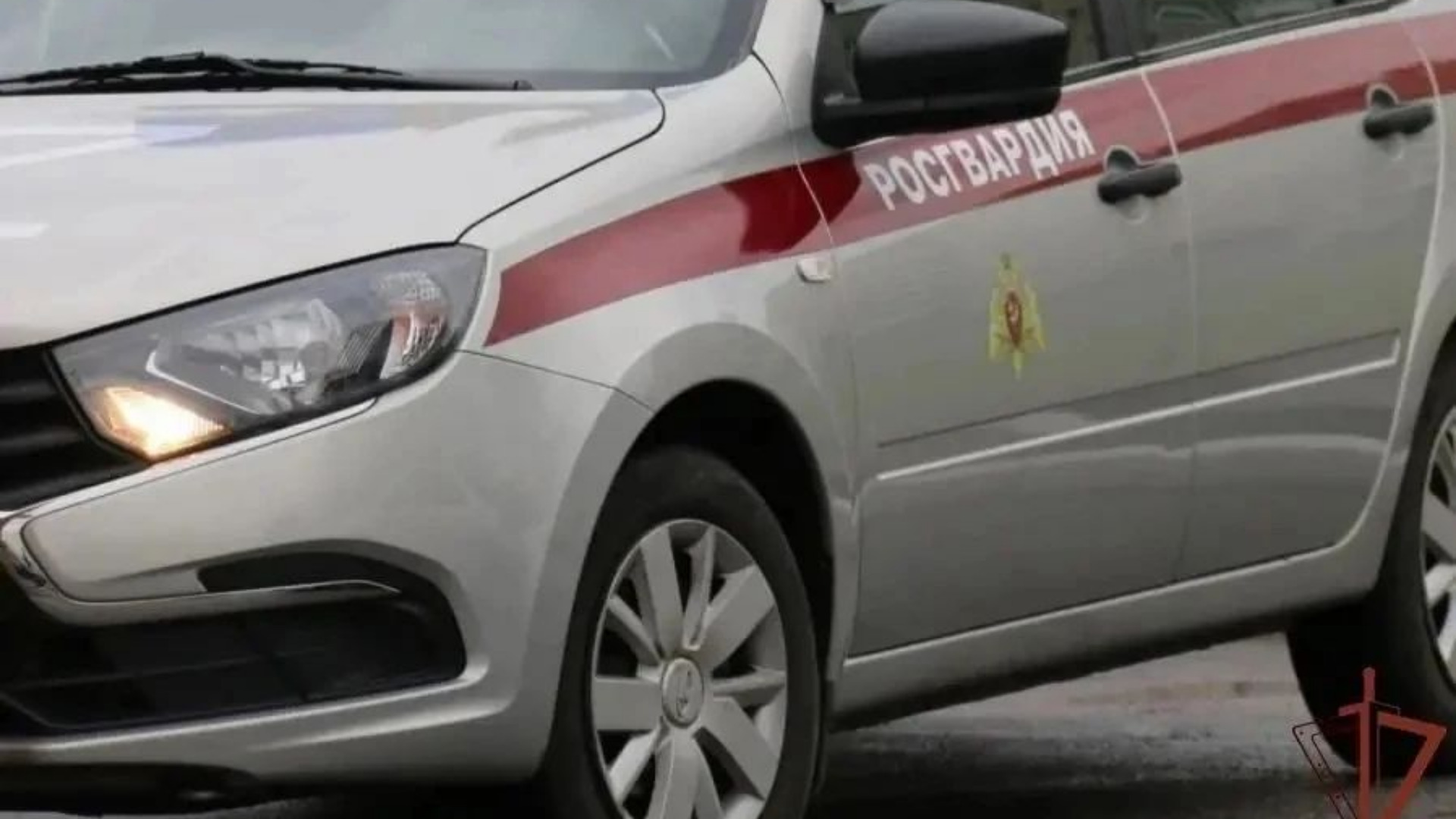  Брянские росгвардейцы по "тревоге" за неделю задержали 18 нарушителей 