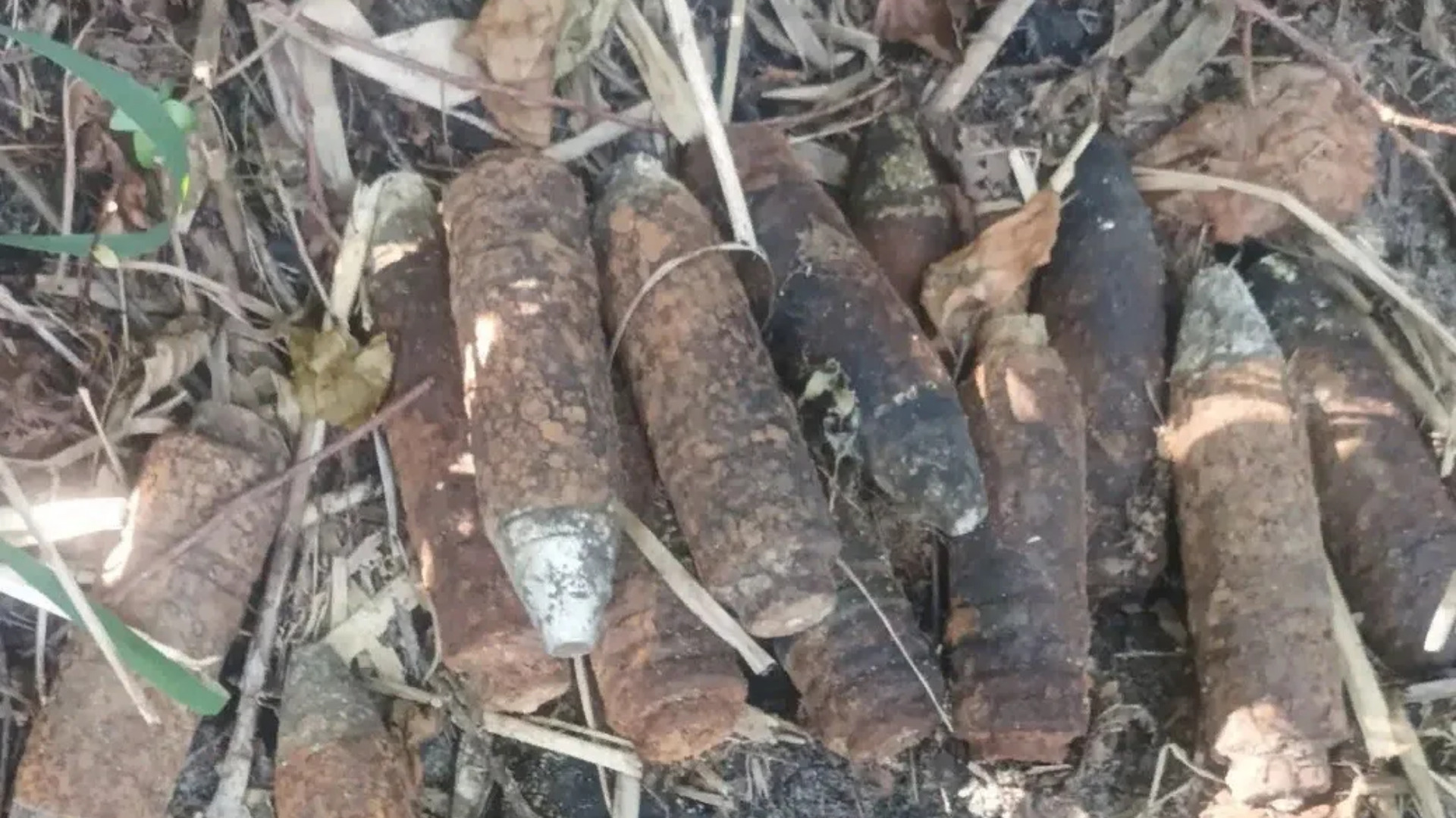 В Жуковском округе собрали взрывоопасный урожай из 12 артснарядов 