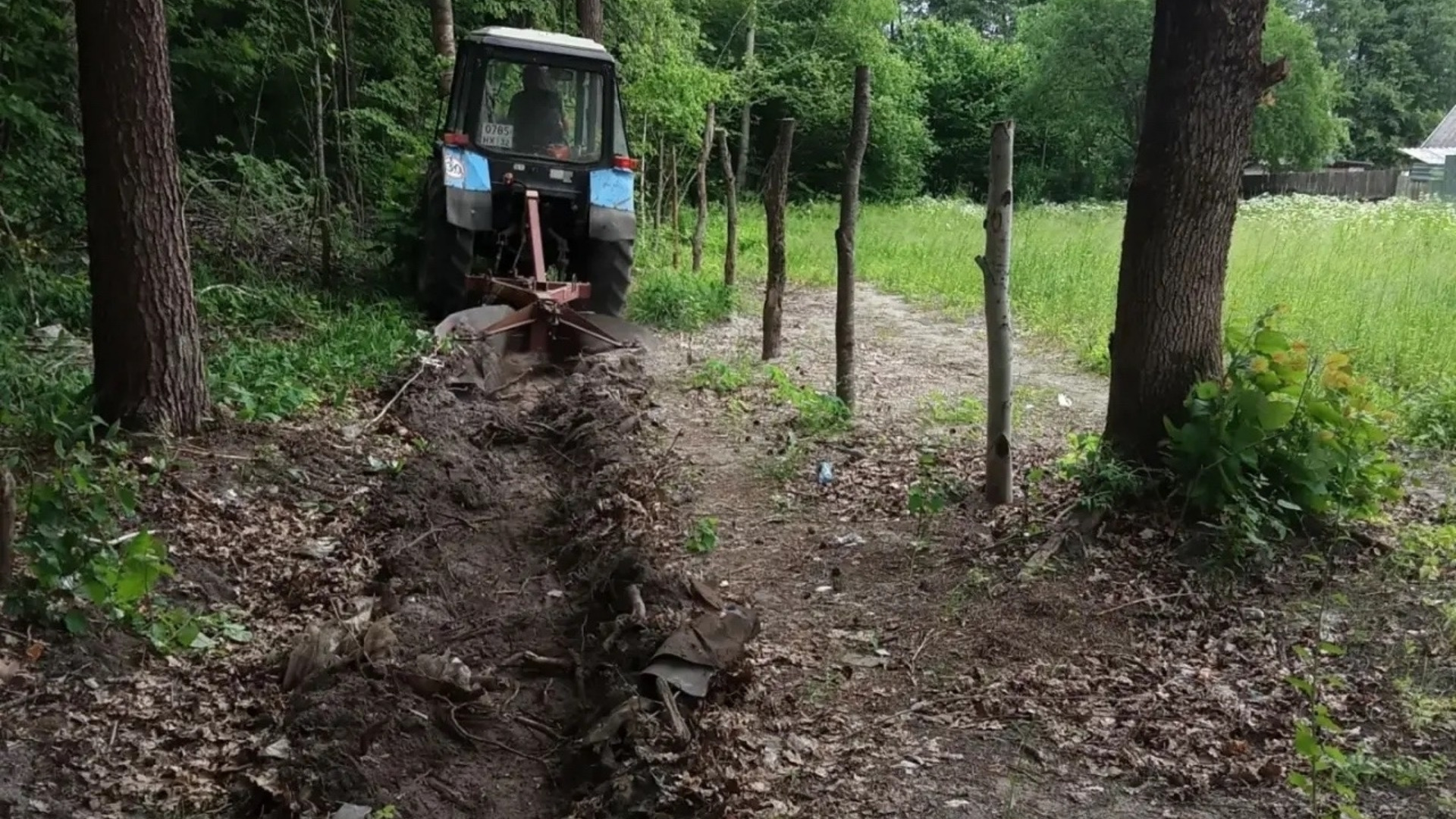 В Брянской области провели устройство новых минерализованных полос на 153,97 км