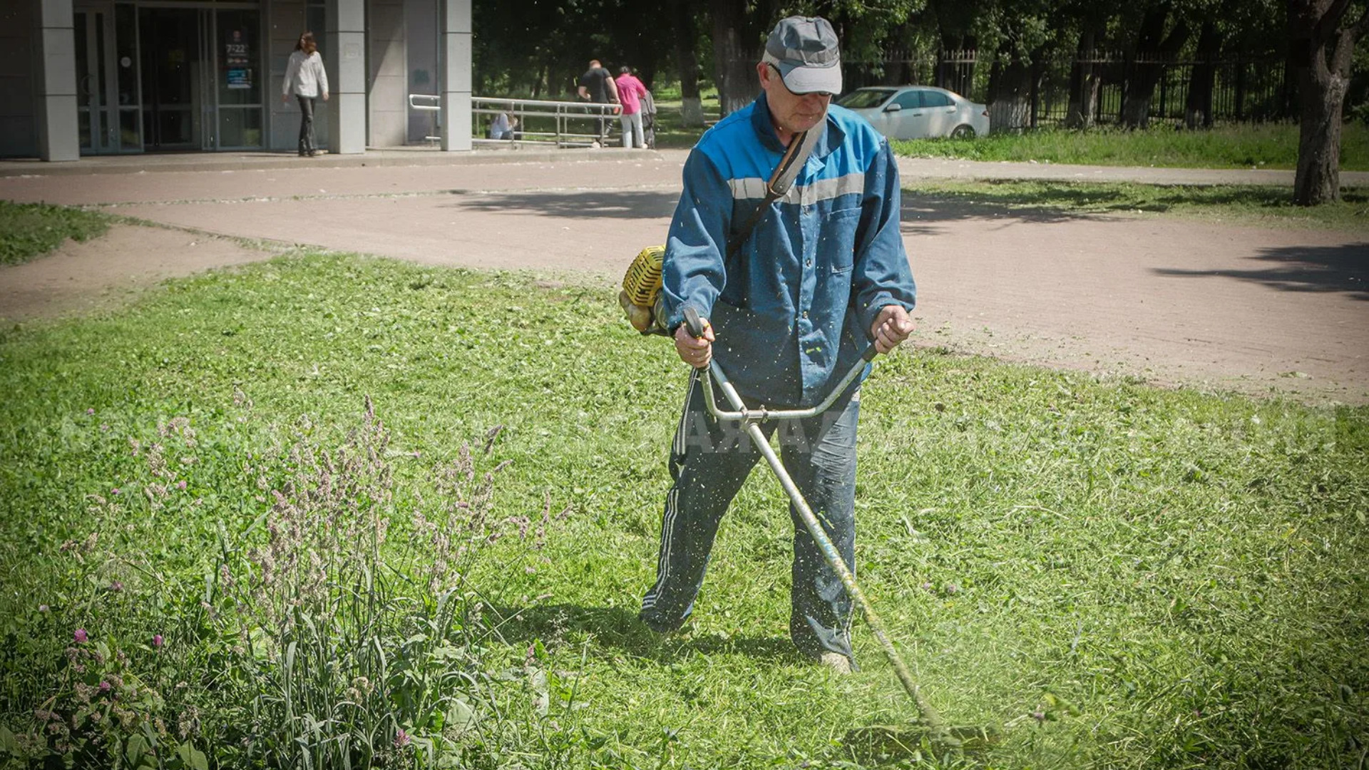 В Брянске скосили траву в сквере Рекункова и на территории рощи "Больничный город"