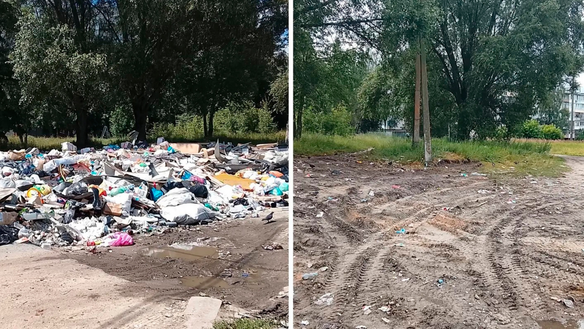 В Брянске ликвидировали несанкционированную свалку по требованию прокуратуры
