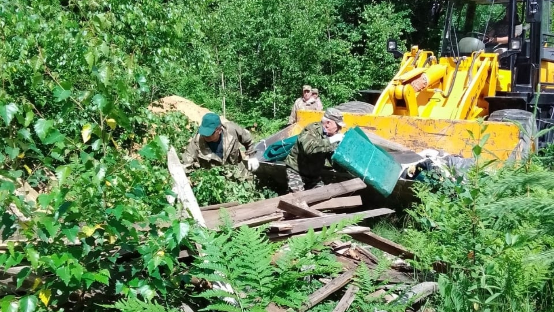 В Брянской области сотрудники лесничества ликвидировали новую свалку мусора 