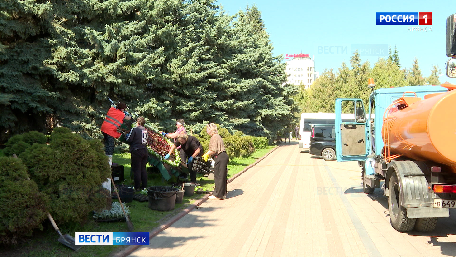 Брянск продолжают озеленять