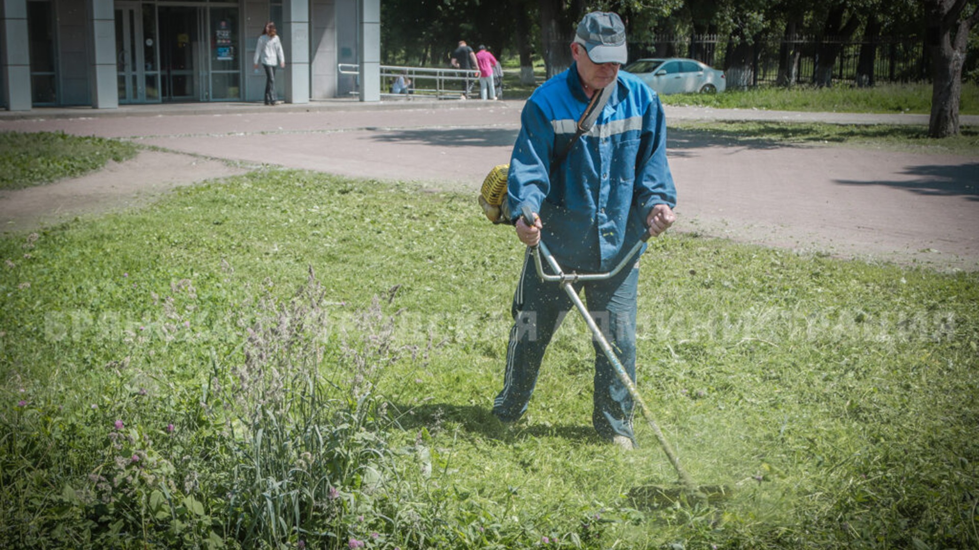 За выходные в Брянске скосили более 115 тысяч квадратных метров травы