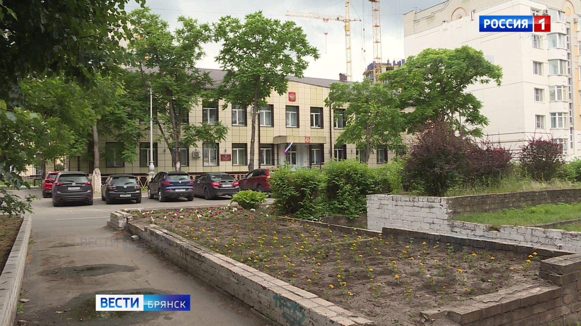 В Брянске благоустроят розарий на улице Комсомольской