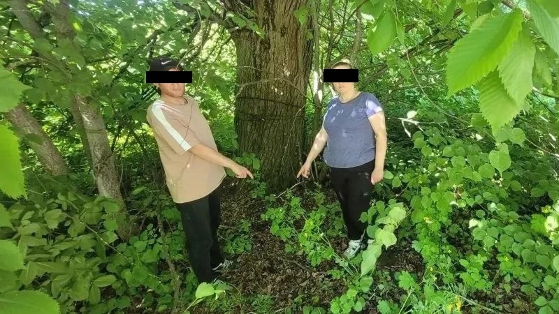  В Брянской области пресечено 17 фактов сбыта и хранения наркотиков