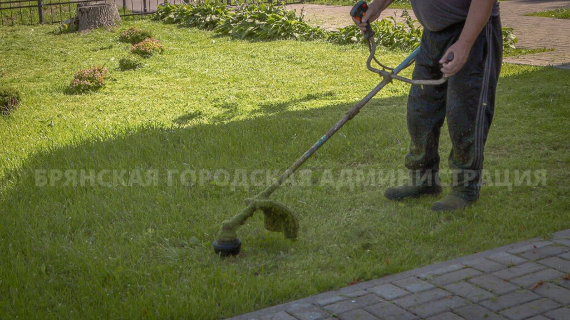 В Брянске за сутки подстригли траву на 87 тыс. квадратных метрах 