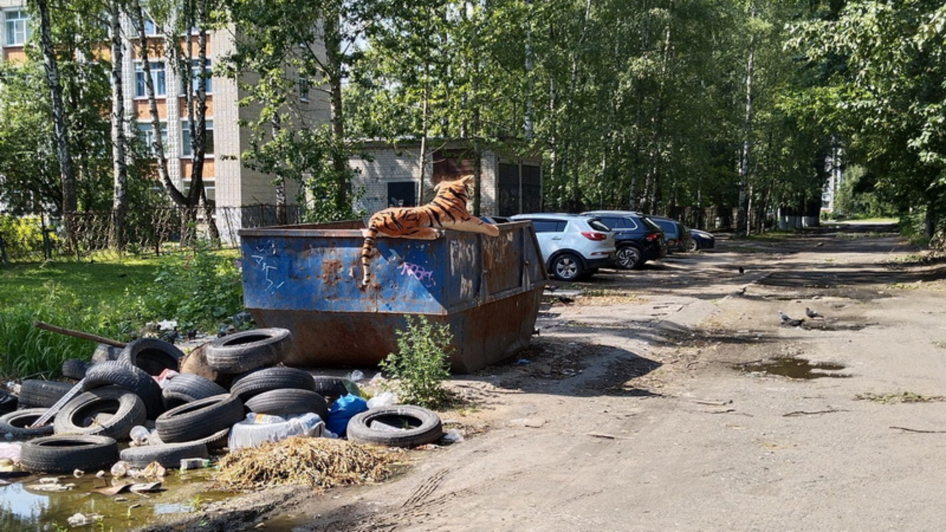 В Брянске в мусорном бункере нашли игрушечного тигра