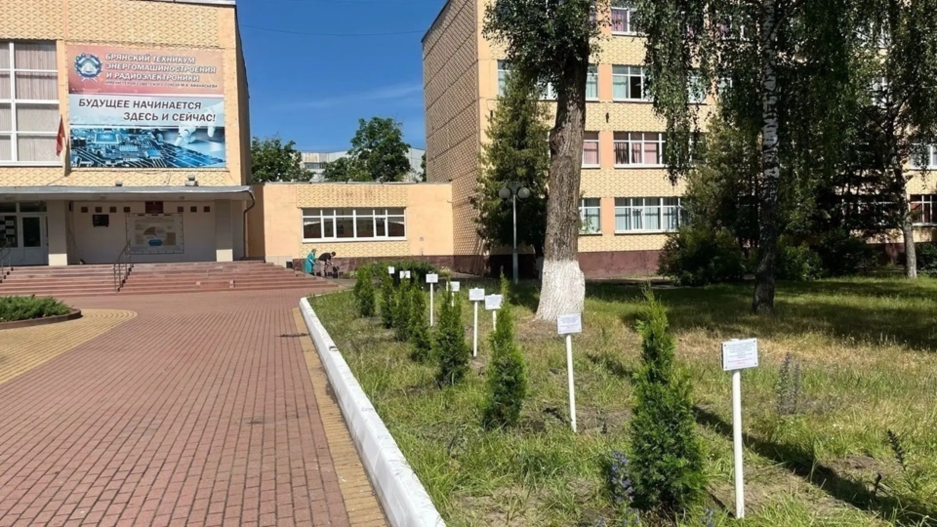 В Брянске выпускники техникума высадили "Аллею выпускников"