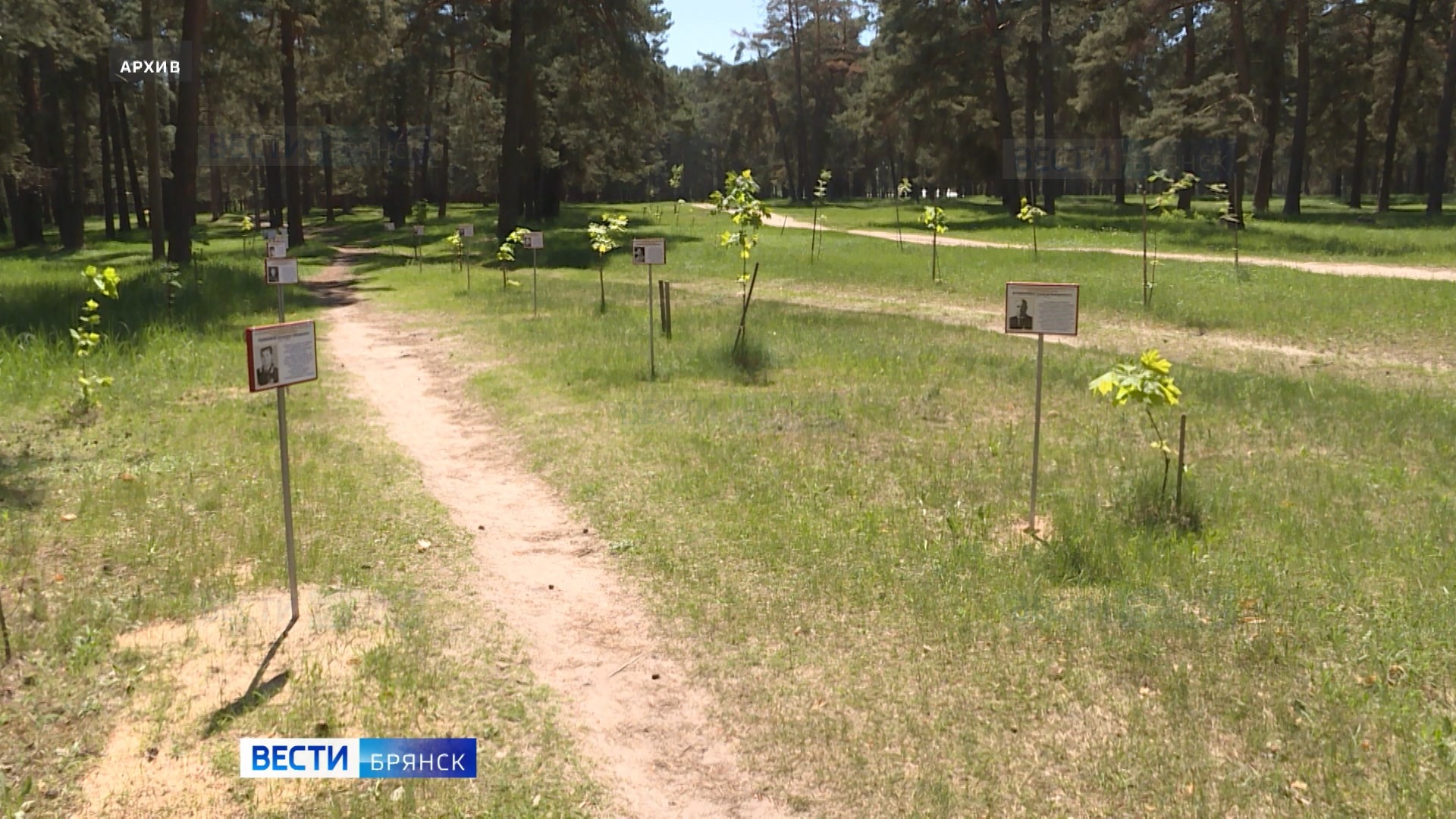 Парк Памяти в Сельцо станет объектом культурного наследия