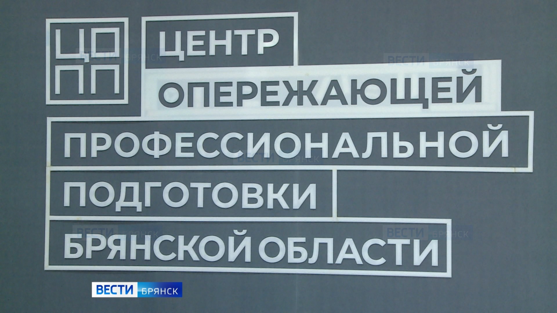 Старшеклассники из Брянска узнали о направлениях подготовки в Державинском университете