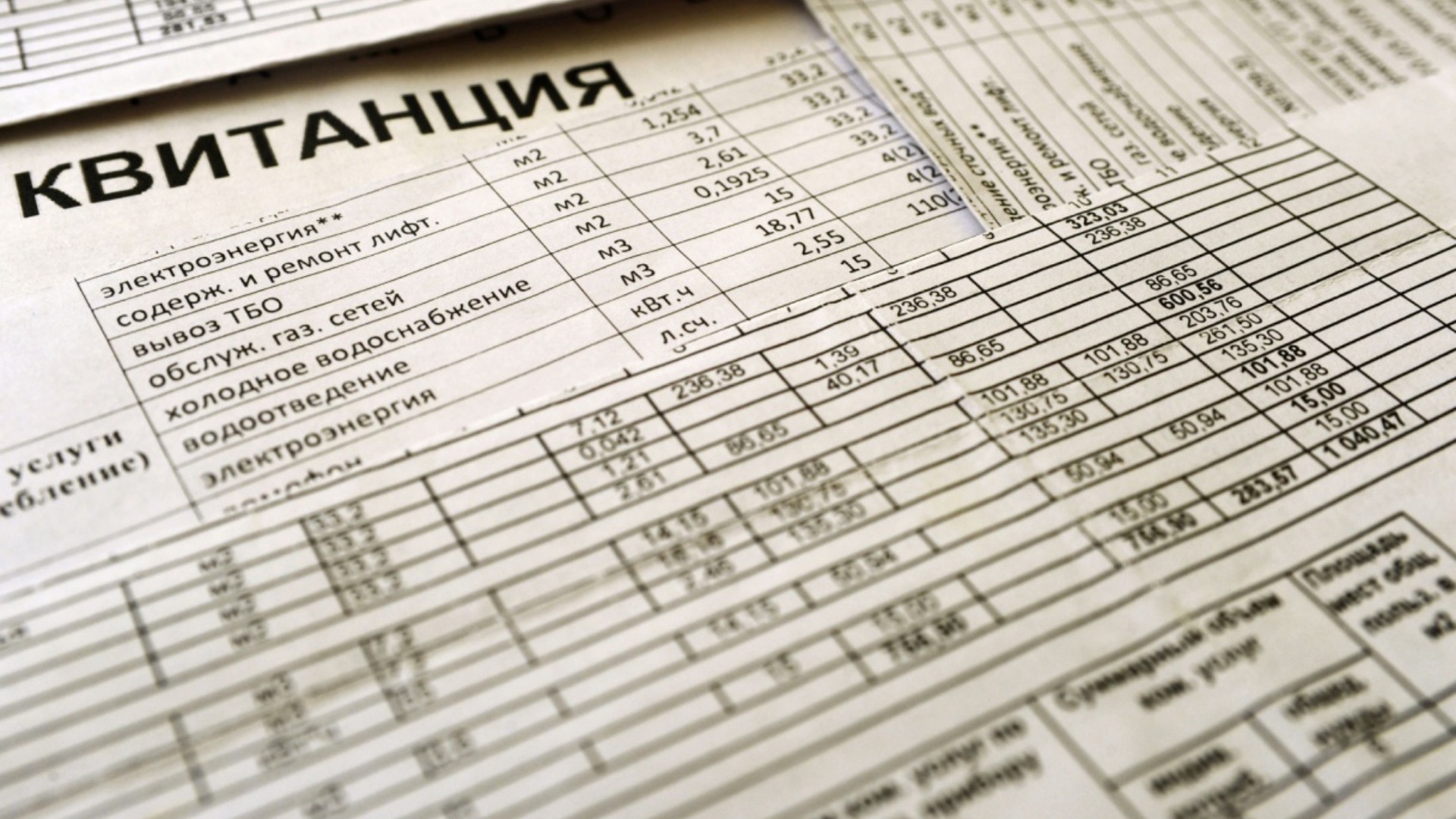 Жителям Брянской области в 2025 году оказали платных услуг на 90,5 млрд рублей