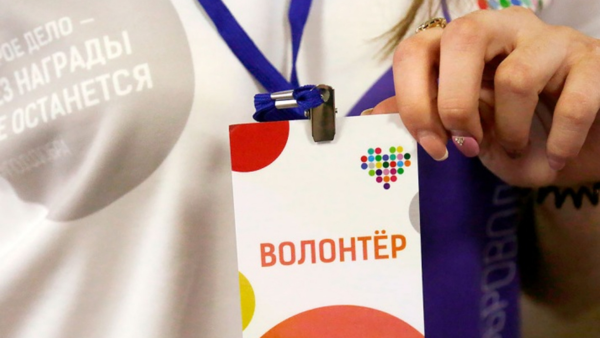 Брянская область сократила финансирование волонтерства в два раза 