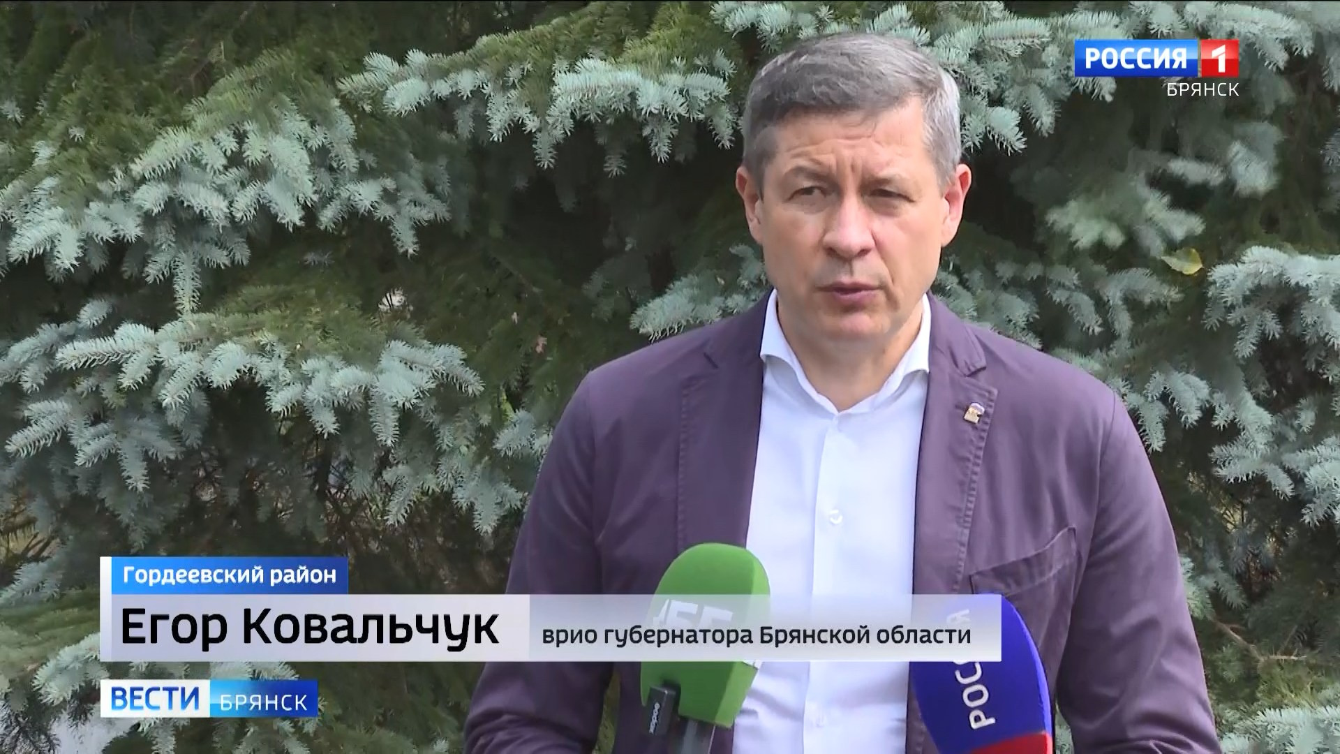 Егор Ковальчук провёл встречу с жителями Гордеевского и Красногорского районов 