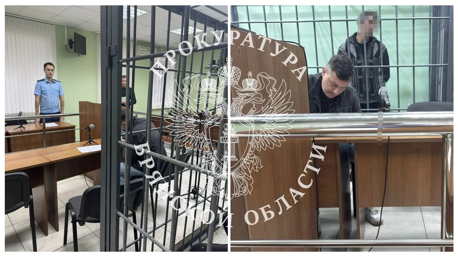 Жителя Брянского района заключили под стражу по обвинению в убийстве 