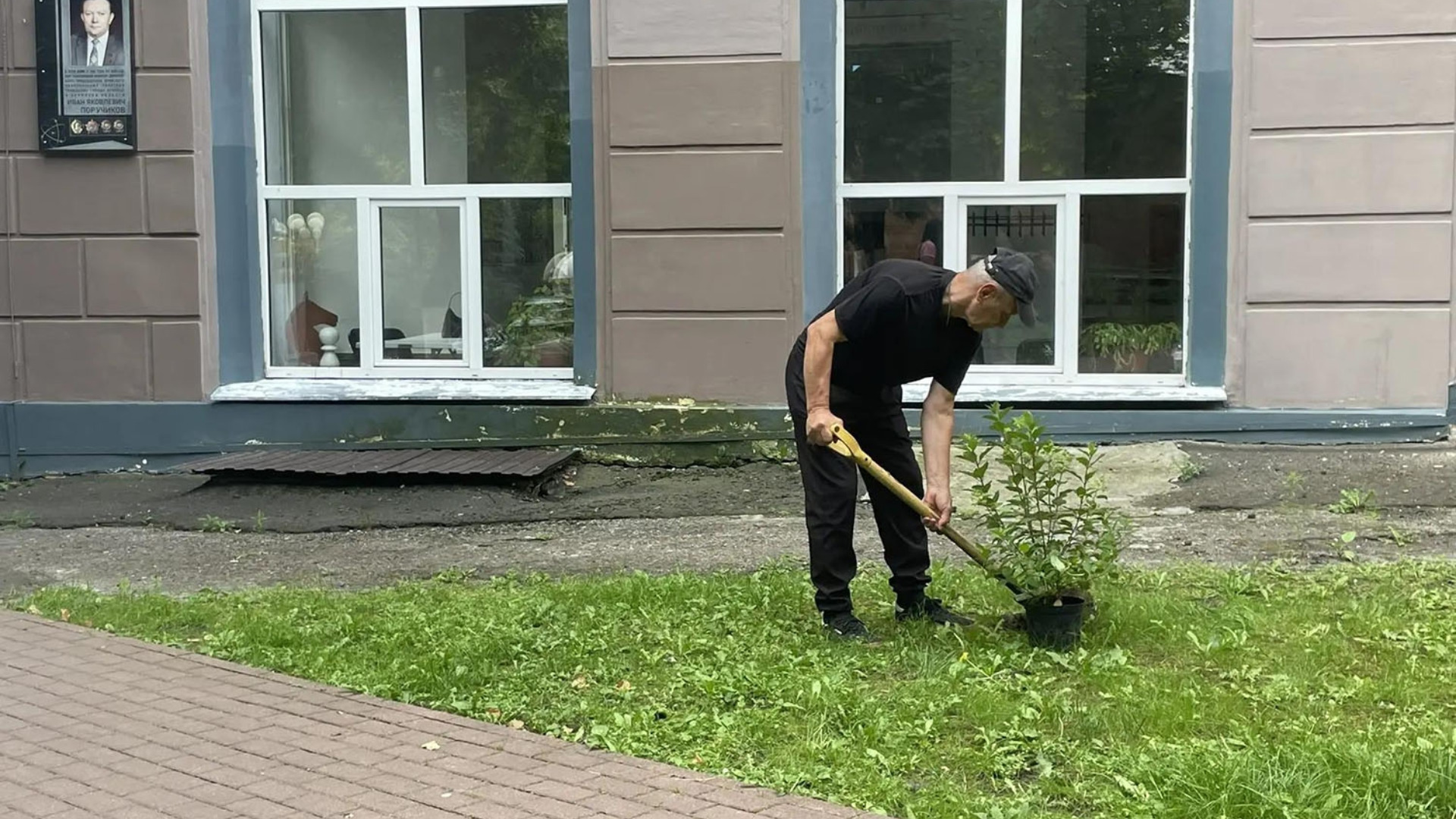 В Брянске в сквере Поручикова высадили гортензию