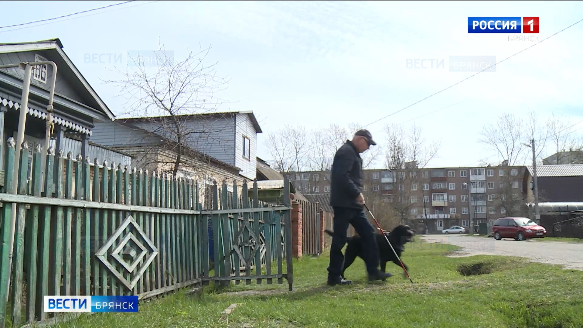 Новая мера поддержки хозяев собак-поводырей начала действовать в Брянске