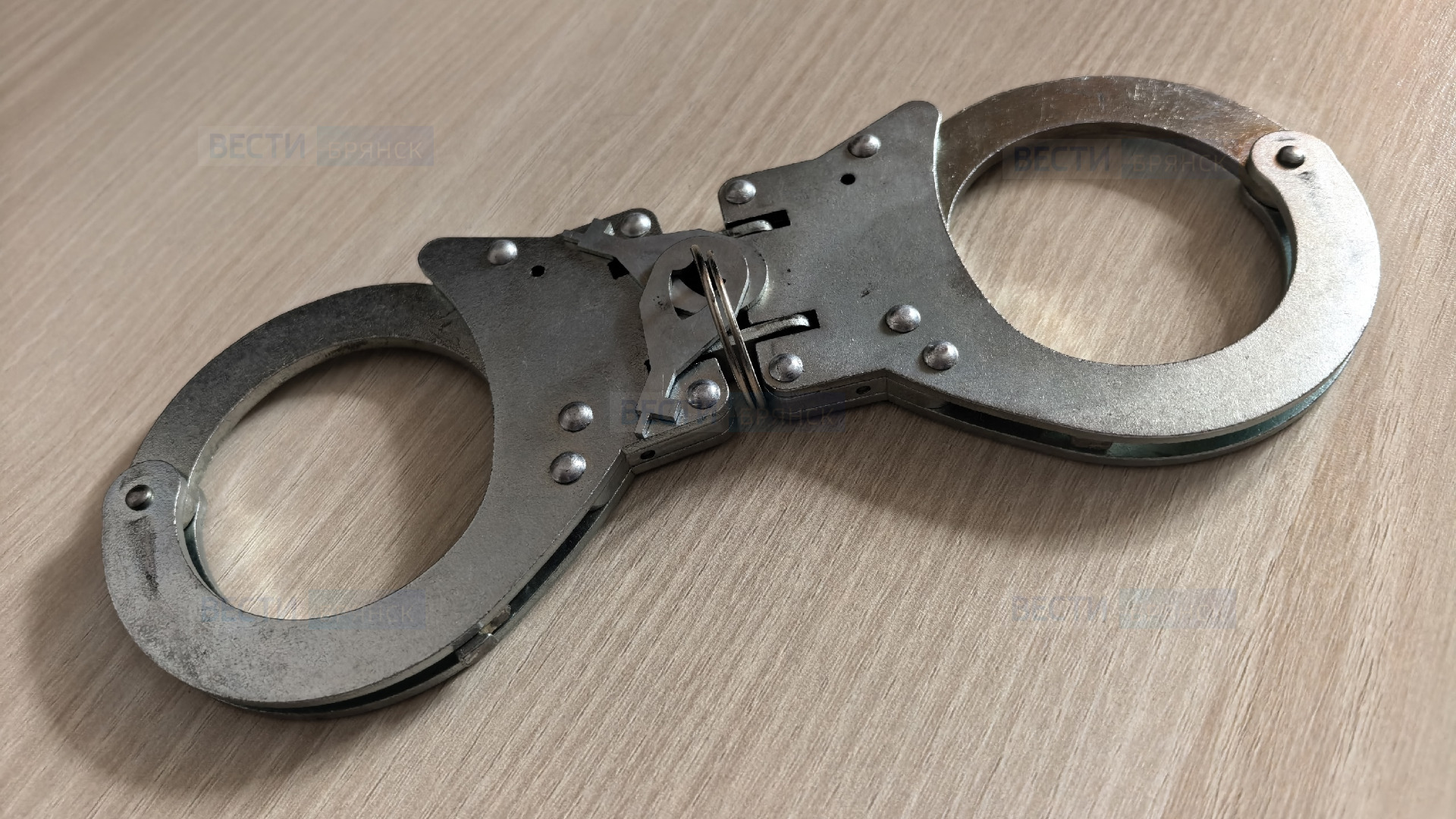 В Брянской области владельца интернет-магазина наркотиков приговорили к девяти годам колонии