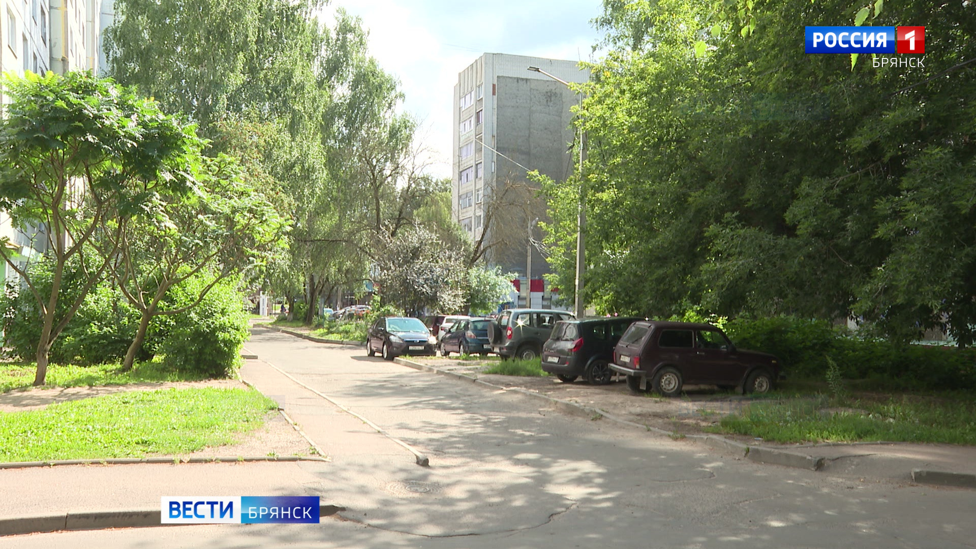 Почти две тысячи брянских любителей незаконной автопарковки привлечены к ответственности