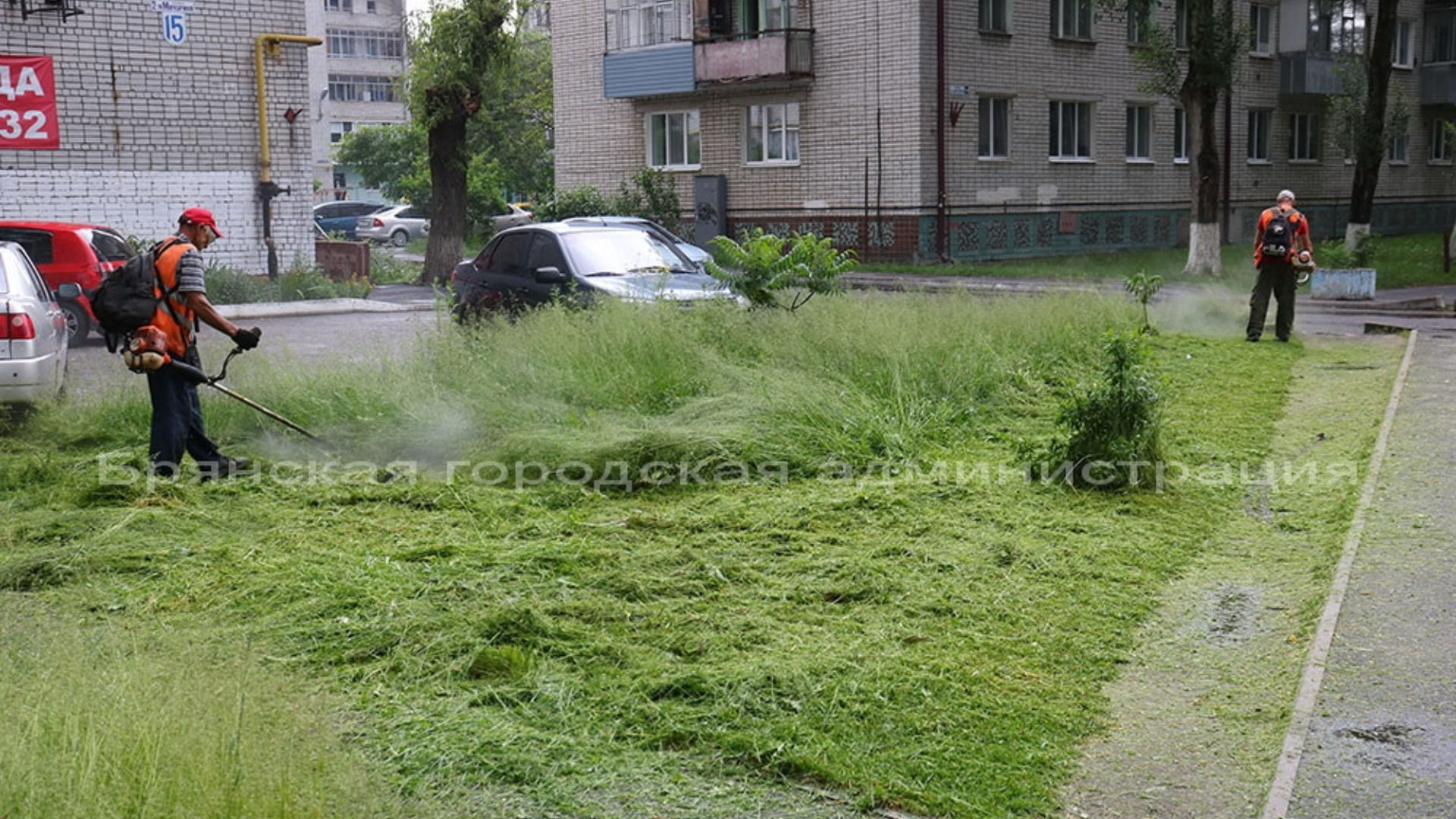 В Брянске дорожники и УК вышли на ежедневный покос травы из-за дождей