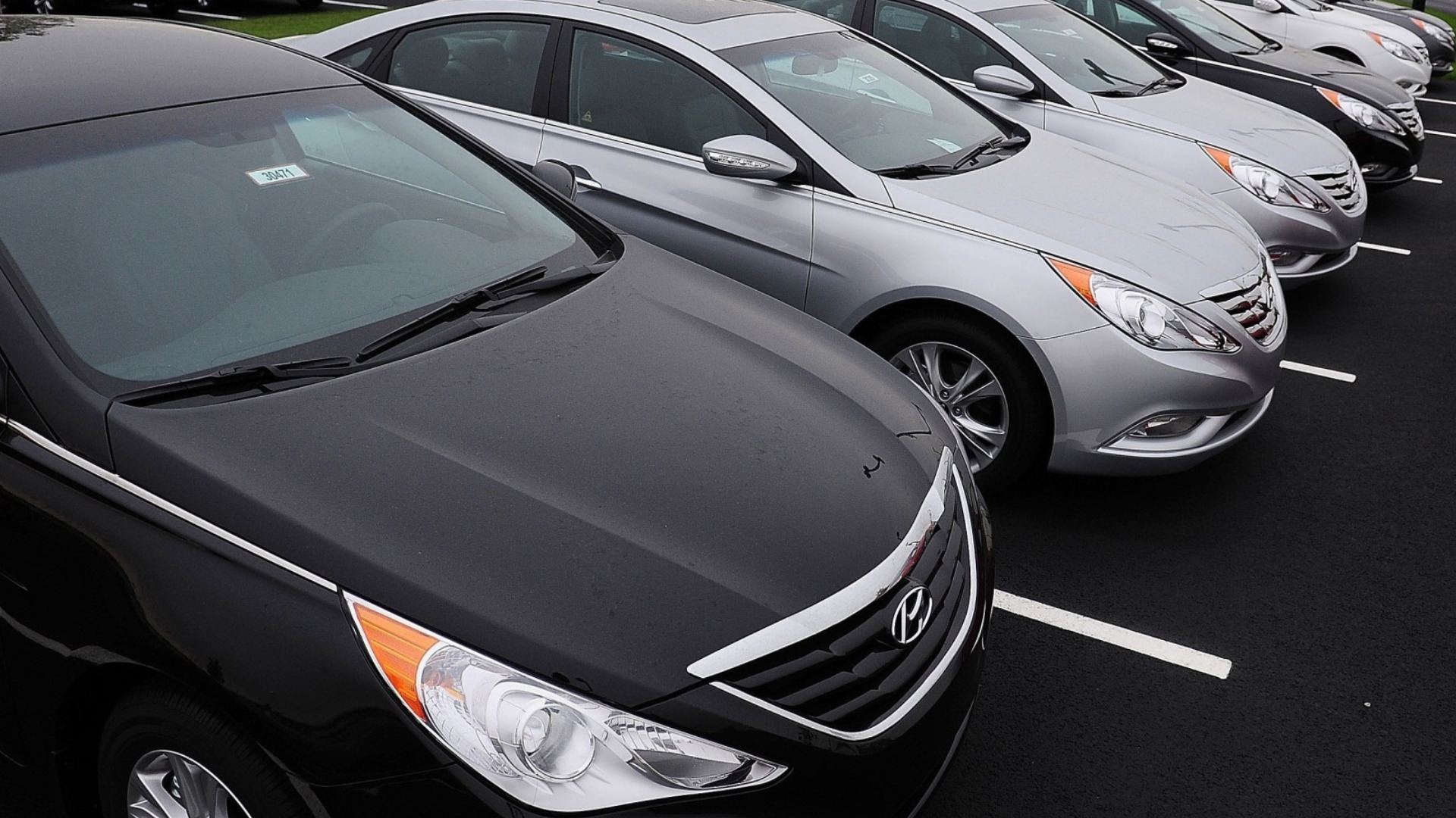 31 mashini