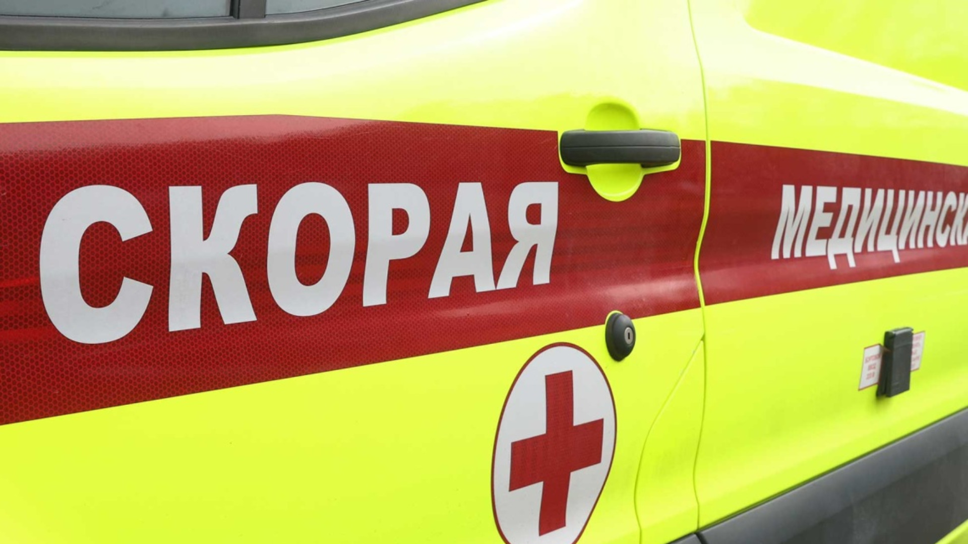 07 skoraya