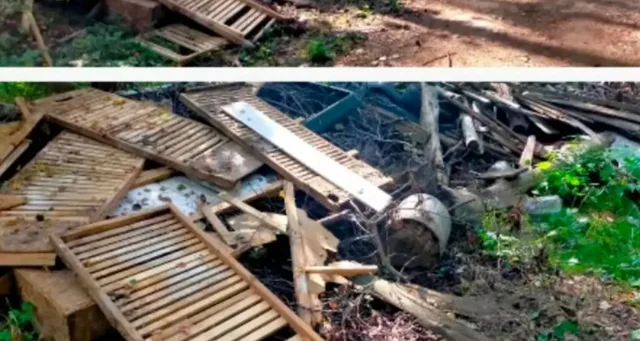 В Клинцовском районе ликвидировали горы мусора на землях лесного фонда