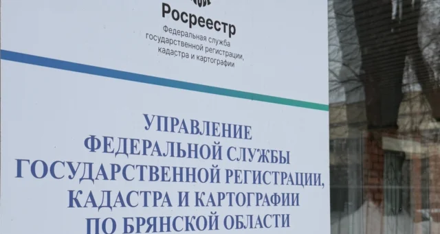 В России планируют упростить оформление общего имущества в СНТ 