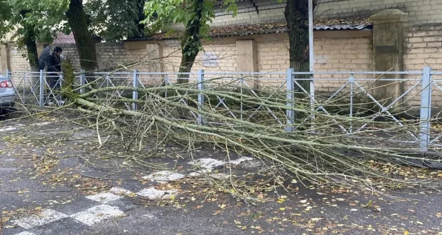 В Брянске в результате разгула стихии пострадали пять автомобилей 