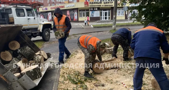 В Брянске продолжают устранять последствия шквального ветра