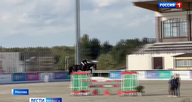 Брянская спортсменка стала лучшей в Евразии по конному спорту