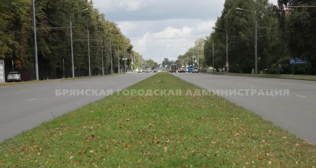 В Брянске начали устанавливать ограждение на Станке Димитрова вопреки мнению жителей 