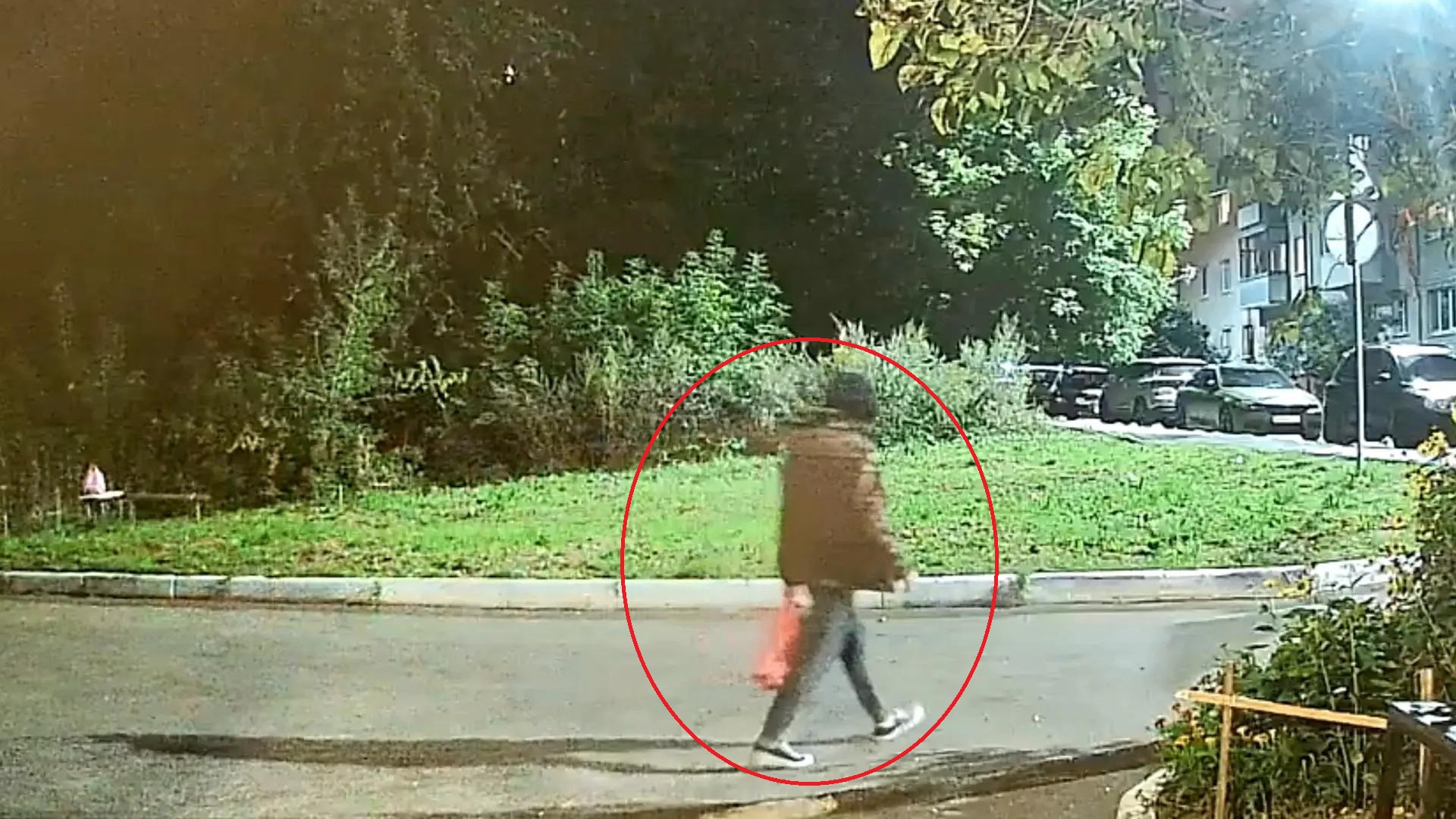 22 policiya podzhog