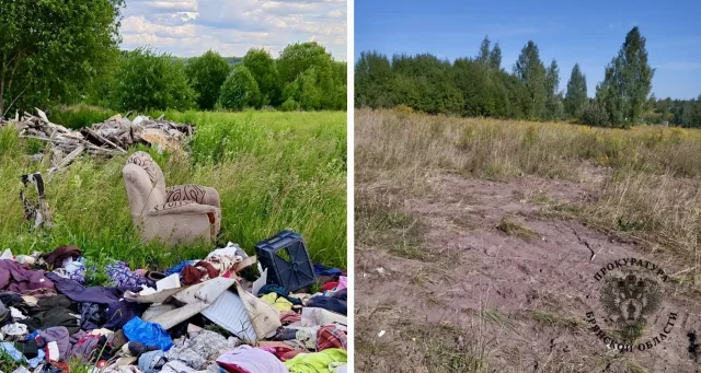 Прокуратура добилась ликвидации свалки в Брянске после публикации в соцсетях