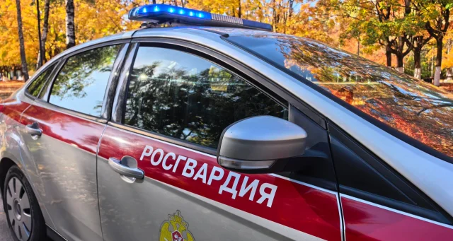 Брянские росгвардейцы по "тревоге" задержали 33 нарушителя за неделю