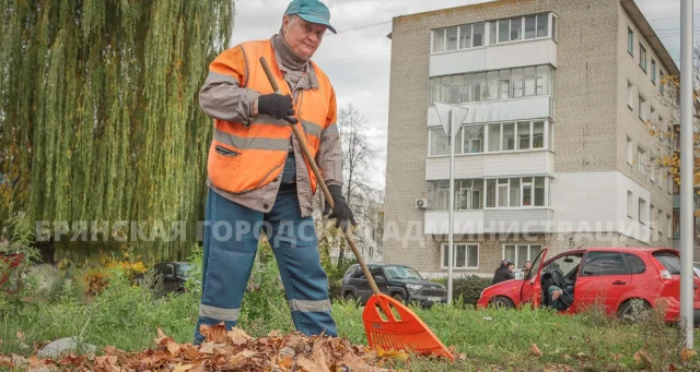 Брянские дорожники за день отремонтировали более 300 квадратных метров улиц