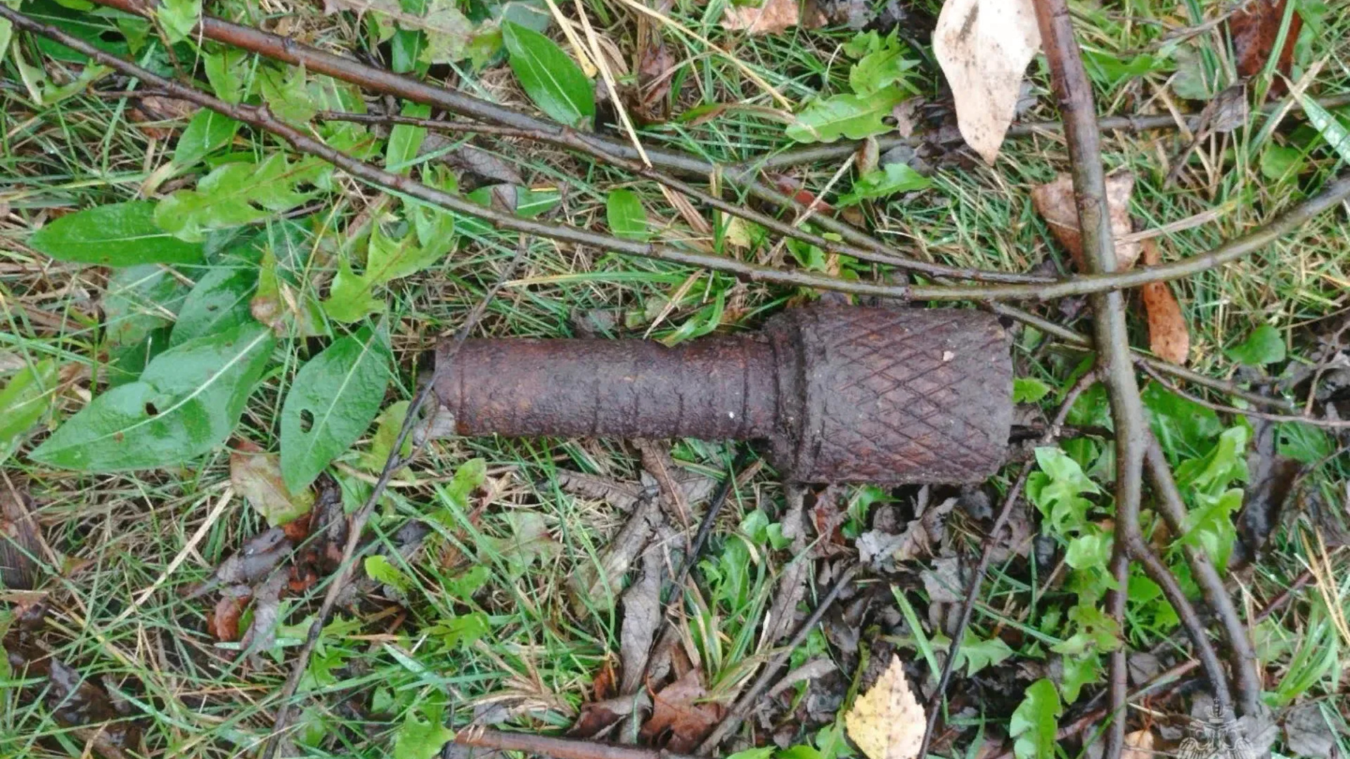 24 granata